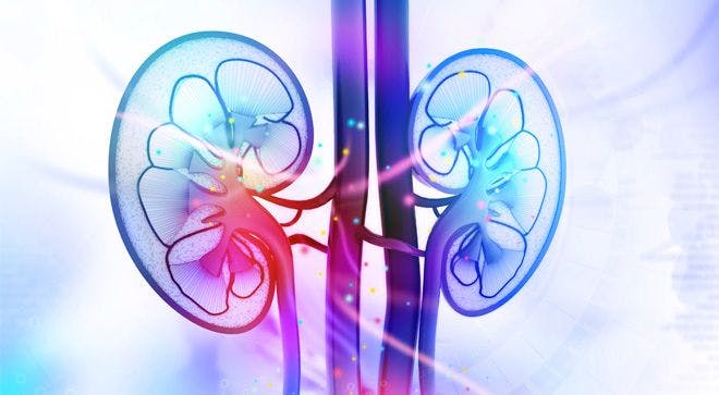 Expert Discusses Molecular Diagnosis of Renal Cell Carcinoma