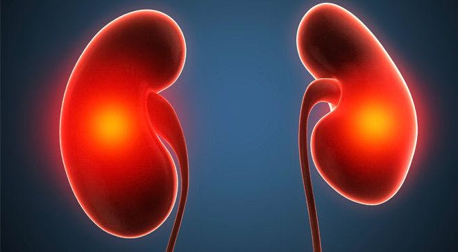 The Latest News and Updates in Kidney Cancer