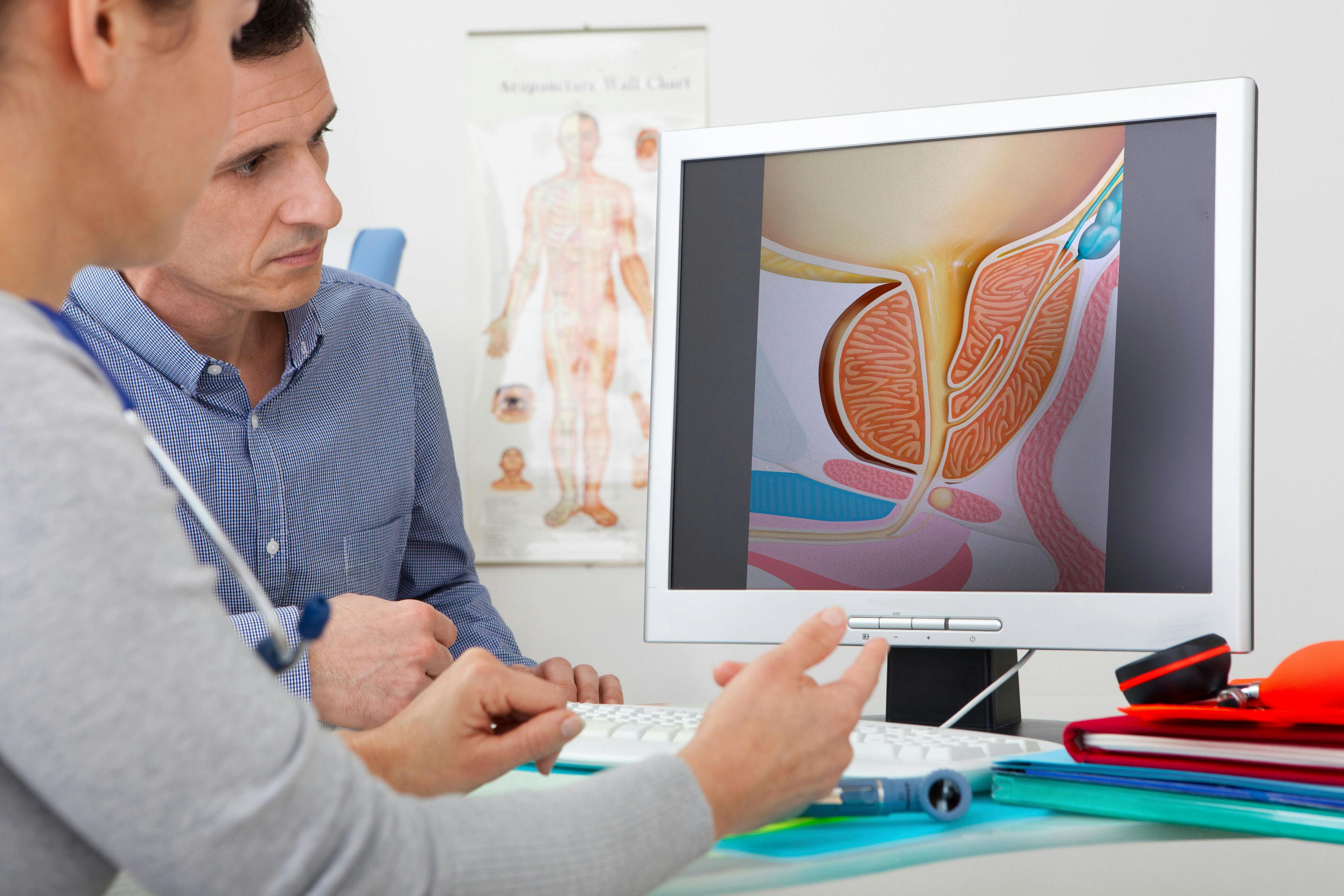 Models On screen, drawing illustrating the prostate (without pathology) | Image credit: © RFBSIB - © stock.adobe.com