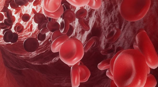 Image of blood cells moving together. 